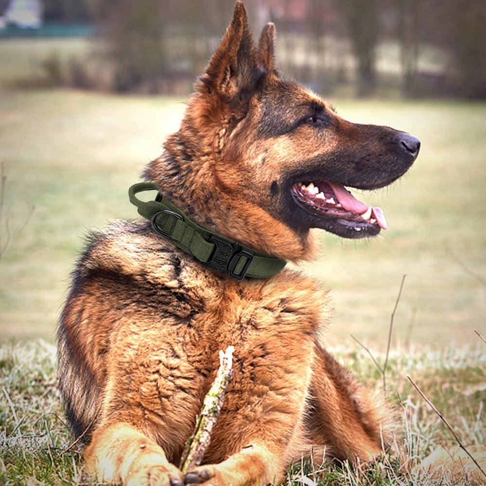 Collar de Perro Táctico Militar Ultra Reforzado