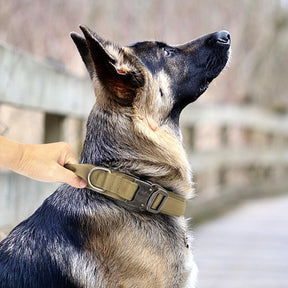 Collar de Perro Táctico Militar Ultra Reforzado